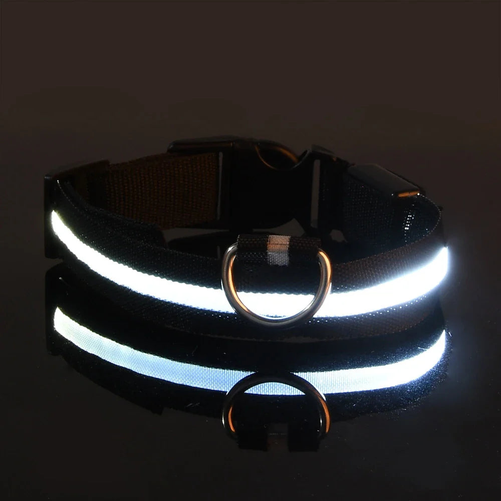 LED Glow Night Dog Leash & Collar
