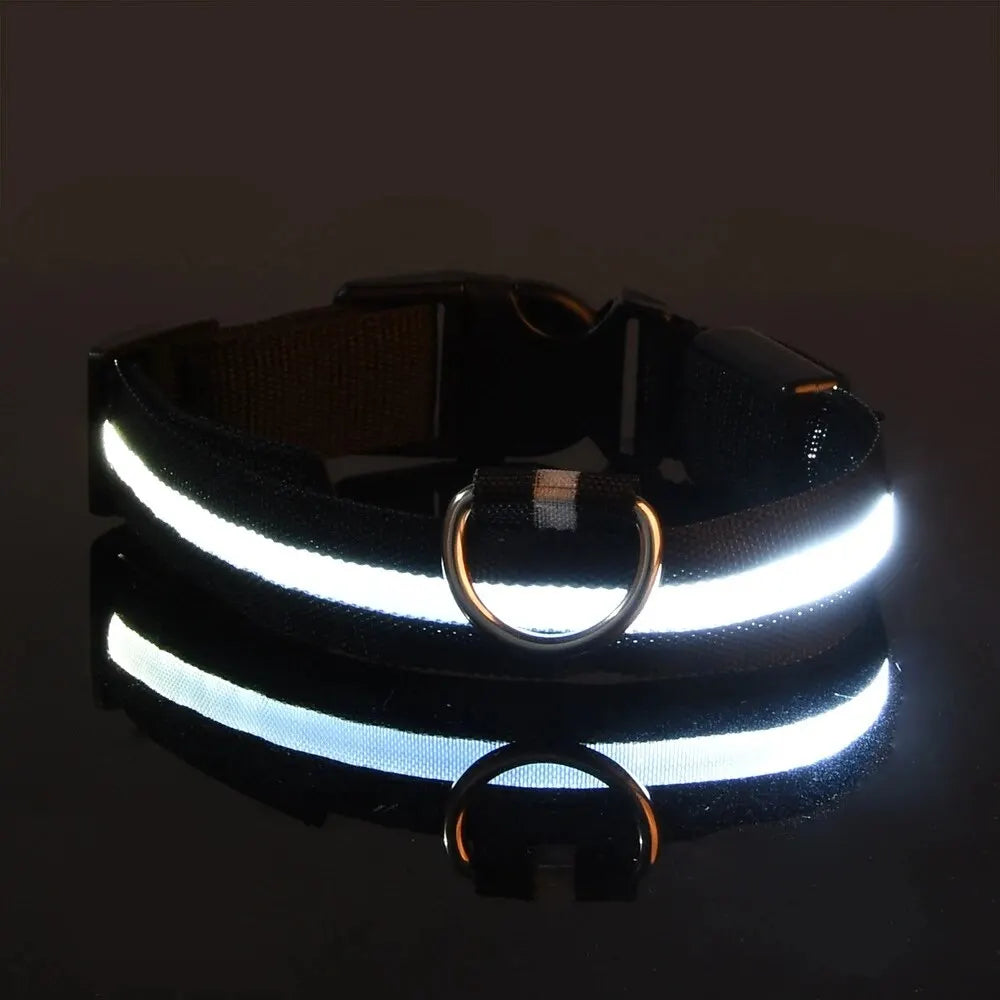 LED Glow Night Dog Leash & Collar