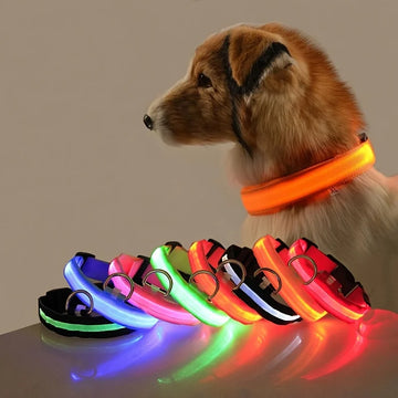 LED Glow Night Dog Leash & Collar