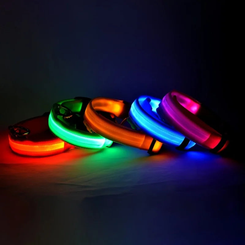 LED Glow Night Dog Leash & Collar