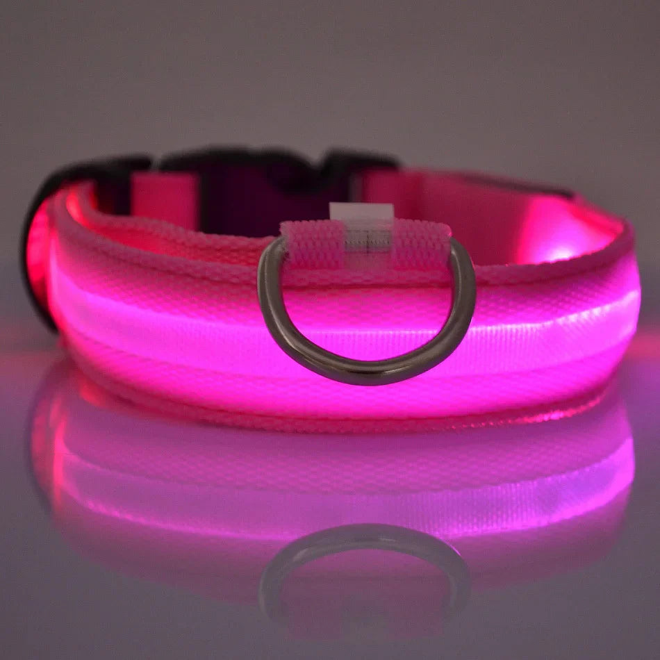 LED Glow Night Dog Leash & Collar