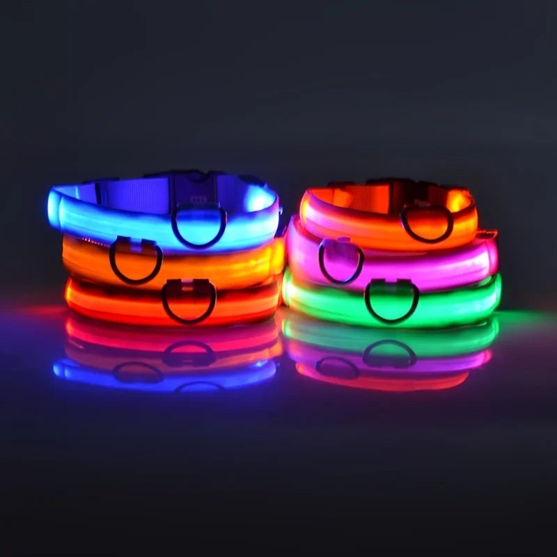 LED Glow Night Dog Leash & Collar