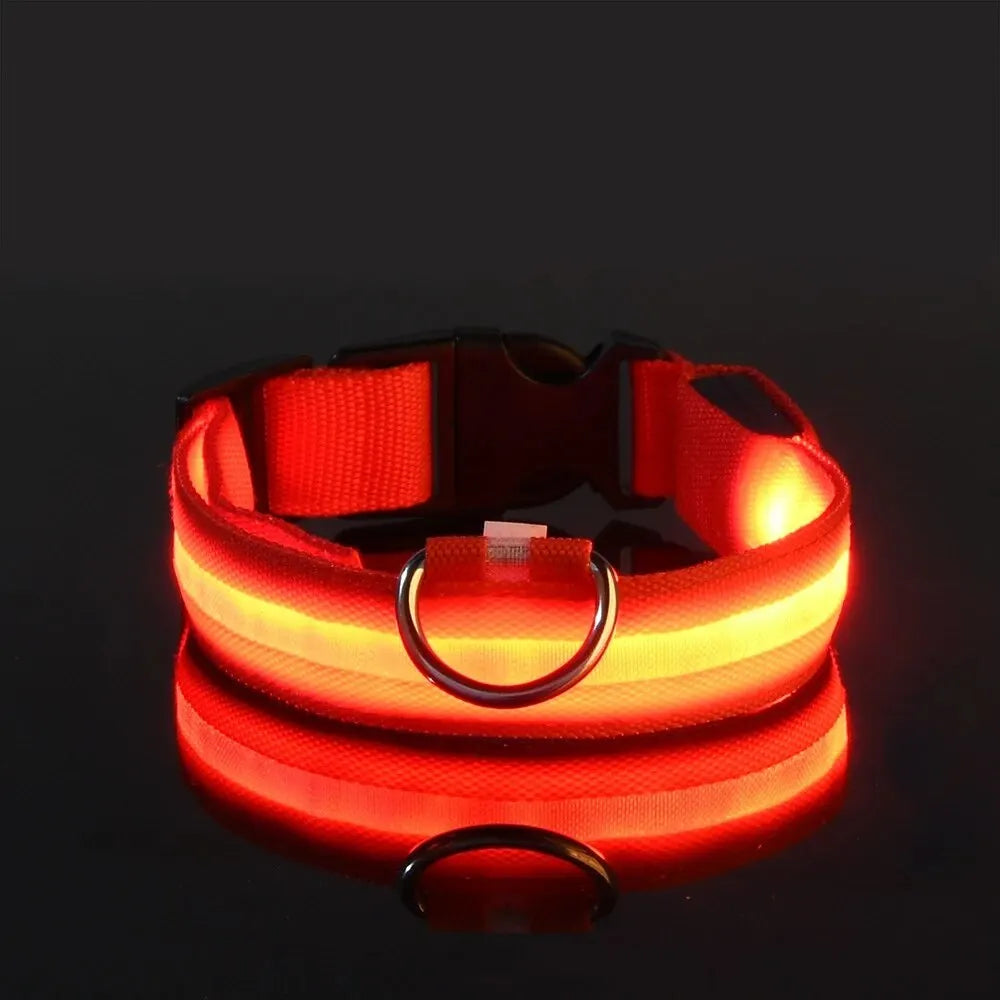 LED Glow Night Dog Leash & Collar