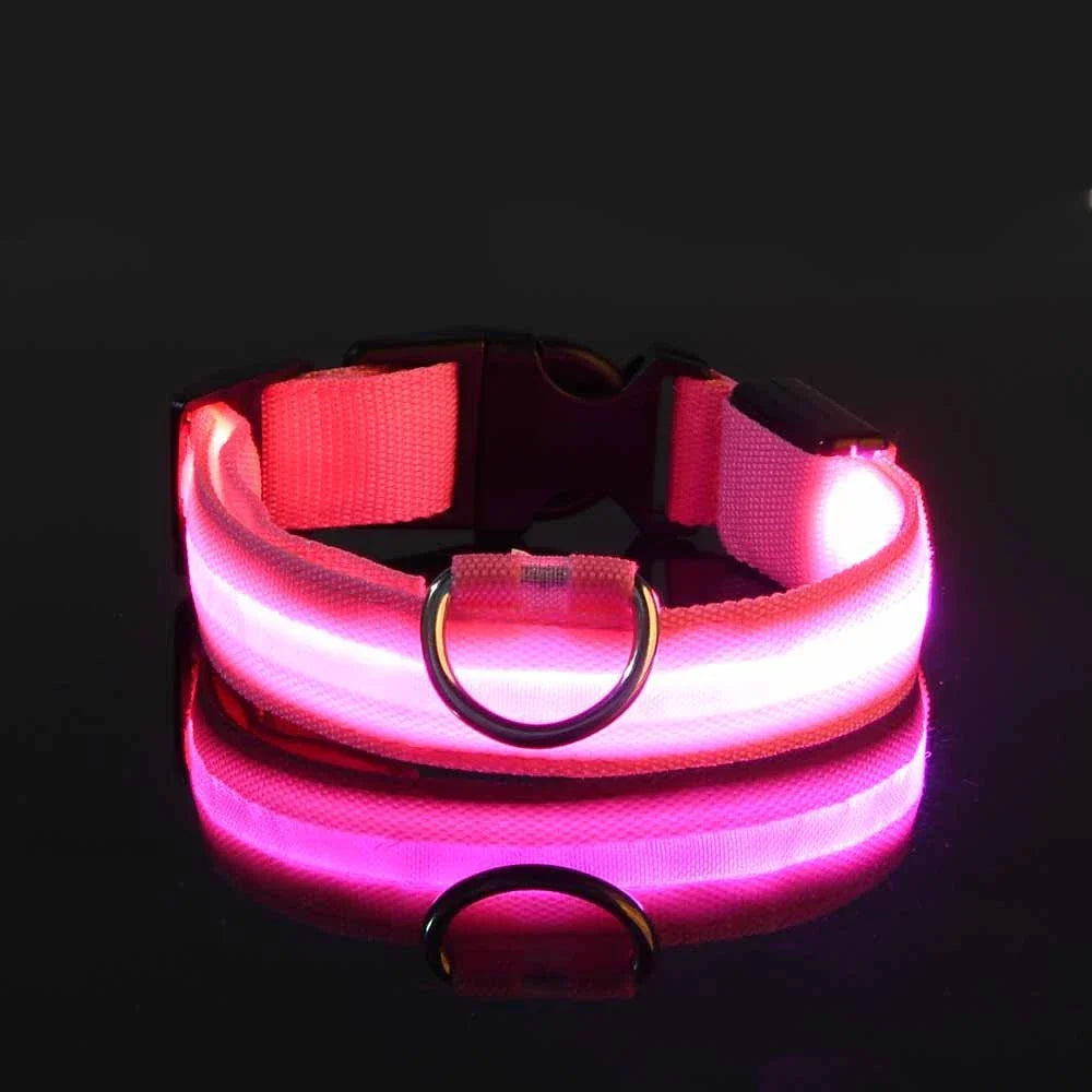 LED Glow Night Dog Leash & Collar