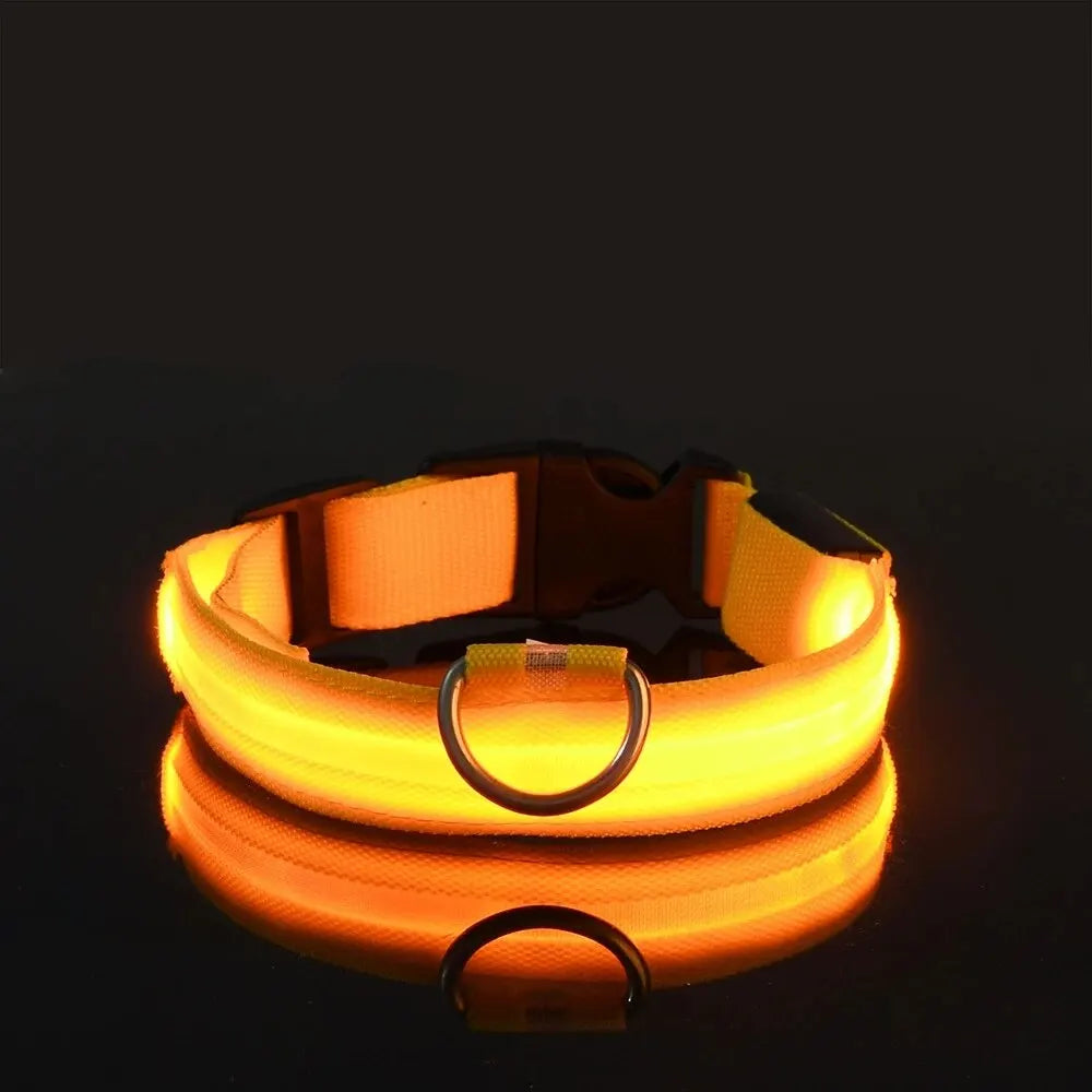 LED Glow Night Dog Leash & Collar